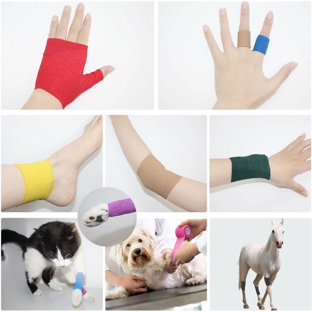 Custom Self Adhesive Sport Tape Cohesive Elastic Bandage for Horse Product